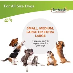 Terry Naturally Animal Health Bladder Control Dog Supplement 15 Terry Naturally Animal Health Bladder Control Dog Supplement -Pet Wellness 335339 PT6. AC SS1800 V1634236664