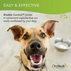 Terry Naturally Animal Health Bladder Control Dog Supplement 17 Terry Naturally Animal Health Bladder Control Dog Supplement -Pet Wellness 335339 PT8. AC SS1800 V1634235418