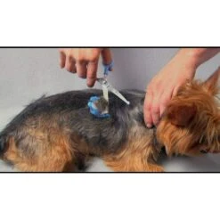 Scaredy Cut Silent Dog, Cat & Small Pet Grooming Kit, 16 Piece -Pet Wellness 336403 PT6. AC SS1800 V1637161882