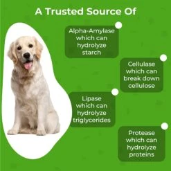 PawMedica Probiotic+ Digestive Enzymes Probiotic Dog Chews -Pet Wellness 336838 PT6. AC SS1800 V1639012627