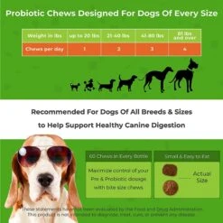 PawMedica Probiotic+ Digestive Enzymes Probiotic Dog Chews -Pet Wellness 336838 PT8. AC SS1800 V1639008994