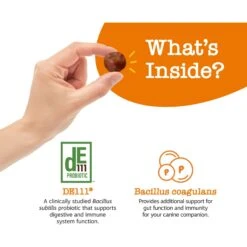 Zesty Paws Pill Wrap Probiotic Paste Bacon Flavored Digestive Supplement For Dogs -Pet Wellness 337049 PT2. AC SS1800 V1696955116