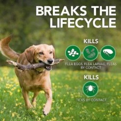 Vet's Best Advanced Strength Flea & Tick Dog Shampoo & Vet's Best Flea + Tick Yard & Kennel Spray For Dogs 12 Vet's Best Advanced Strength Flea & Tick Dog Shampoo & Vet's Best Flea + Tick Yard & Kennel Spray For Dogs -Pet Wellness 338735 PT3. AC SS1800 V1635893601