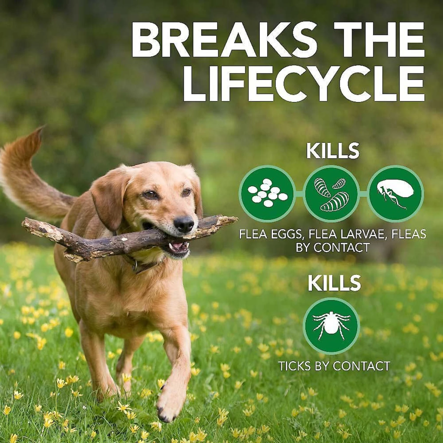 Vet's Best Advanced Strength Flea & Tick Dog Shampoo & Vet's Best Flea + Tick Yard & Kennel Spray For Dogs 4 Vet's Best Advanced Strength Flea & Tick Dog Shampoo & Vet's Best Flea + Tick Yard & Kennel Spray For Dogs - Image 4