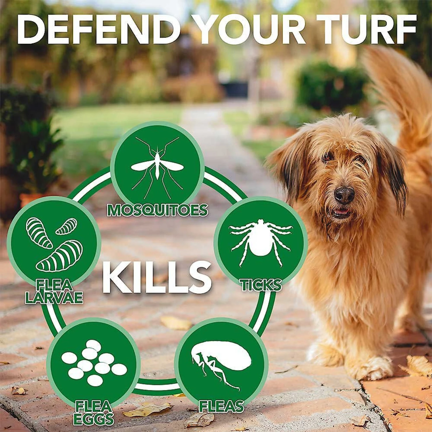 Vet's Best Advanced Strength Flea & Tick Dog Shampoo & Vet's Best Flea + Tick Yard & Kennel Spray For Dogs 8 Vet's Best Advanced Strength Flea & Tick Dog Shampoo & Vet's Best Flea + Tick Yard & Kennel Spray For Dogs - Image 8