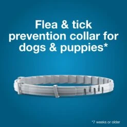 Seresto Flea & Tick Collar For Dogs, Over 18 Lbs & Seresto Flea & Tick Collar For Dogs, Up To 18 Lbs -Pet Wellness 338816 PT2. AC SS1800 V1661206671