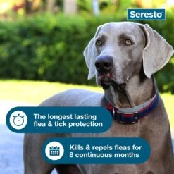 Seresto Flea & Tick Collar For Dogs, Over 18 Lbs & Seresto Flea & Tick Collar For Dogs, Up To 18 Lbs -Pet Wellness 338816 PT6. AC SS1800 V1661271865