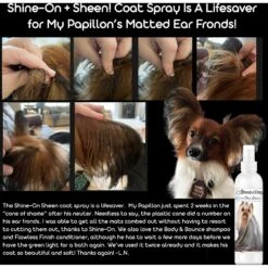 The Blissful Dog Shine-On+Sheen Dog De-Tangling Coat Spray -Pet Wellness 343990 PT2. AC SS1800 V1637023356