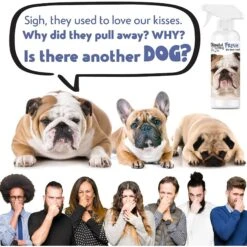 The Blissful Dog Fresh Flat Face Wash For Dogs -Pet Wellness 343994 PT2. AC SS1800 V1635519771