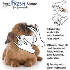 The Blissful Dog Fresh Flat Face Wash For Dogs -Pet Wellness 343994 PT3. AC SS1800 V1635519398