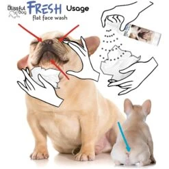 The Blissful Dog Fresh Flat Face Wash For Dogs -Pet Wellness 343994 PT4. AC SS1800 V1635522077