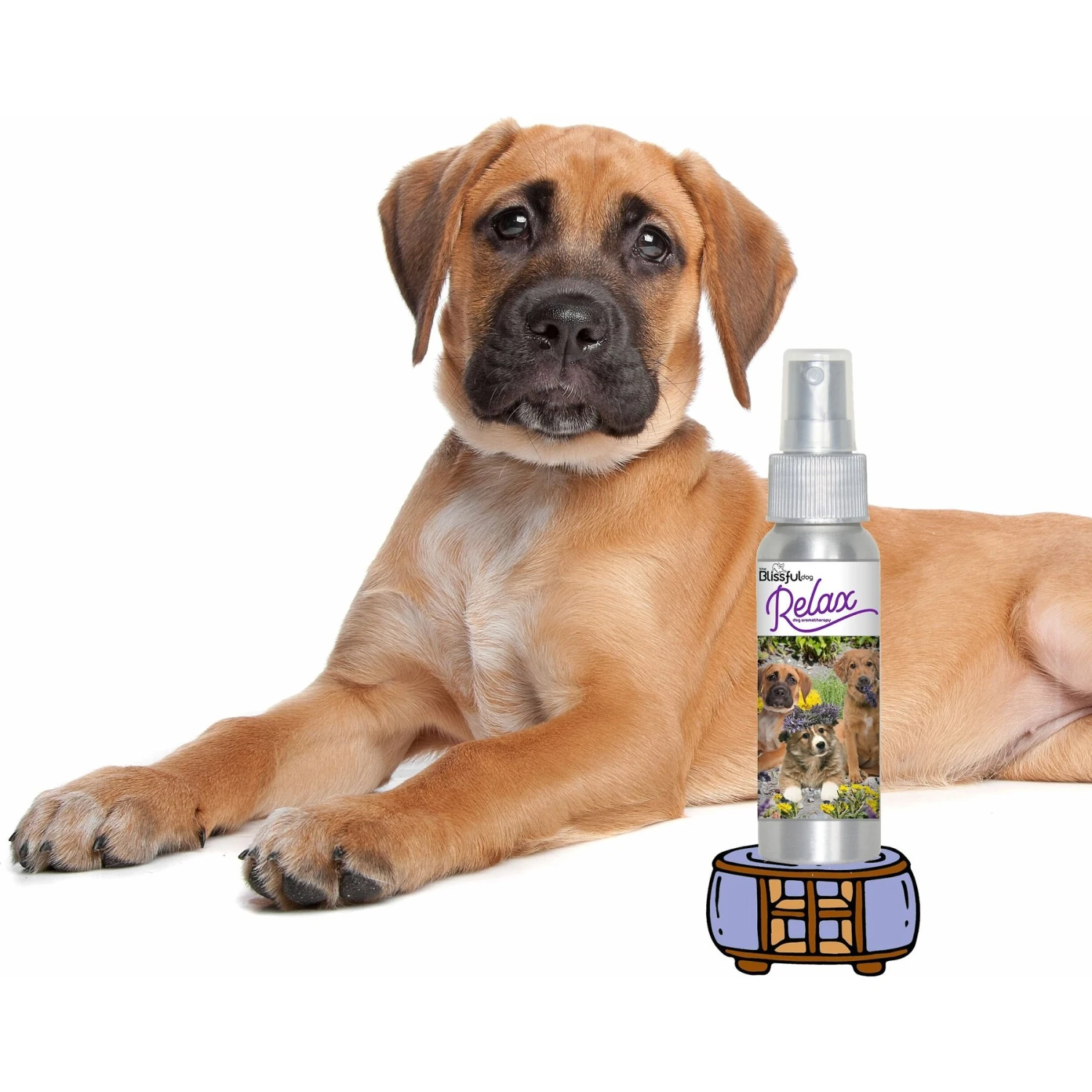 The Blissful Dog Relax Dog Aromatherapy Spray, 2.76-oz 2 The Blissful Dog Relax Dog Aromatherapy Spray, 2.76-oz - Image 2