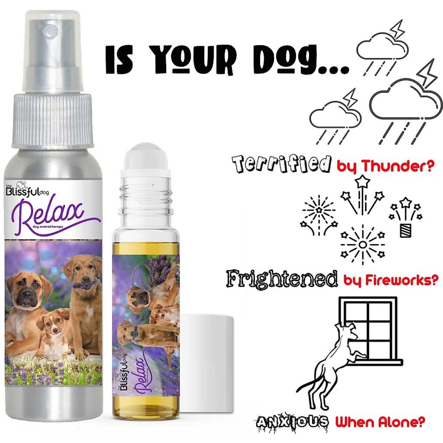 The Blissful Dog Relax Dog Aromatherapy Spray, 2.76-oz 4 The Blissful Dog Relax Dog Aromatherapy Spray, 2.76-oz - Image 4