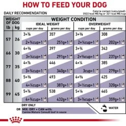 Royal Canin Veterinary Diet Adult Mature Consult Large Breed Dry Dog Food -Pet Wellness 344036 PT6. AC SS1800 V1684410989