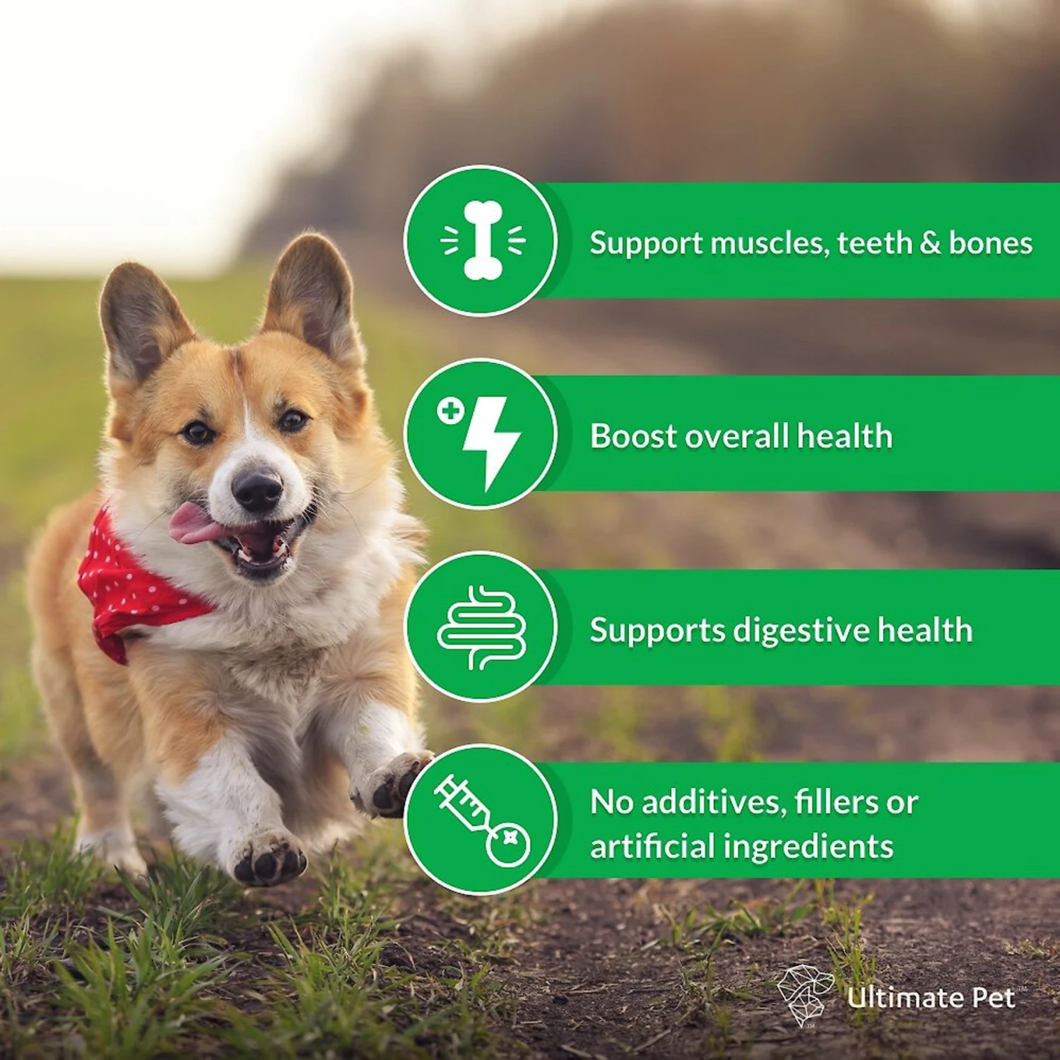 Ultimate Pet Nutrition Canine Boost Multivitamin 33-in-1 Powder Supplement For Dogs 2 Ultimate Pet Nutrition Canine Boost Multivitamin 33-in-1 Powder Supplement For Dogs - Image 2