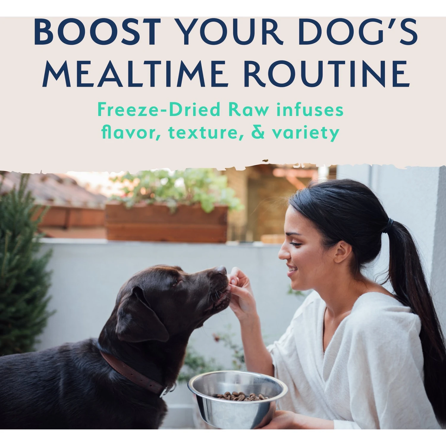 Natural Balance Limited Ingredient Freeze-Dried Chicken & Sweet Potato Recipe Dog Dry Food 4 Natural Balance Limited Ingredient Freeze-Dried Chicken & Sweet Potato Recipe Dog Dry Food - Image 4