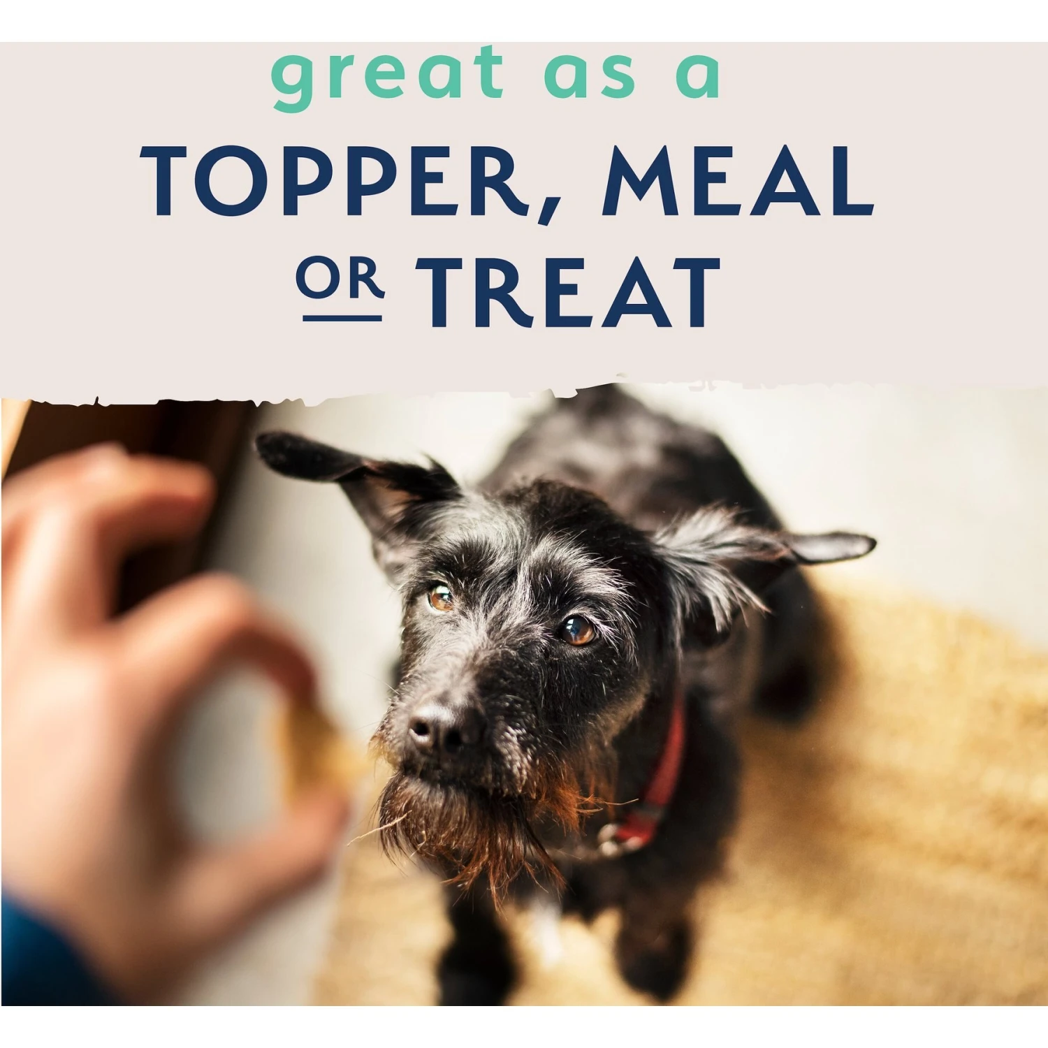 Natural Balance Limited Ingredient Freeze-Dried Chicken & Sweet Potato Recipe Dog Dry Food 6 Natural Balance Limited Ingredient Freeze-Dried Chicken & Sweet Potato Recipe Dog Dry Food - Image 6