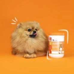 PointPet Allergy Plus Calming Smoked Salmon Flavored Seasonal Allergy Support Soft Chew Dog Supplement, 120 Count 11 PointPet Allergy Plus Calming Smoked Salmon Flavored Seasonal Allergy Support Soft Chew Dog Supplement, 120 Count -Pet Wellness 345537 PT3. AC SS1800 V1669396893