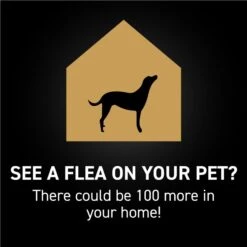 NextStar Flea & Tick Spot Treatment For Medium Dogs, 23-44 Lbs -Pet Wellness 346071 PT5. AC SS1800 V1693405666