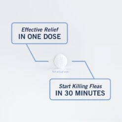 PetArmor CapAction Oral Flea Treatment For Dogs 25+ Lbs 6 Doses -Pet Wellness 346081 PT6. AC SS1800 V1696534097