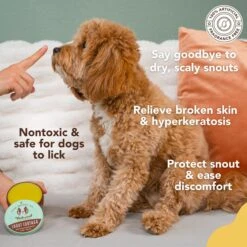 Natural Dog Company Snout Soother Dog Healing Balm 11 Natural Dog Company Snout Soother Dog Healing Balm -Pet Wellness 346269 PT2. AC SS1800 V1701882926