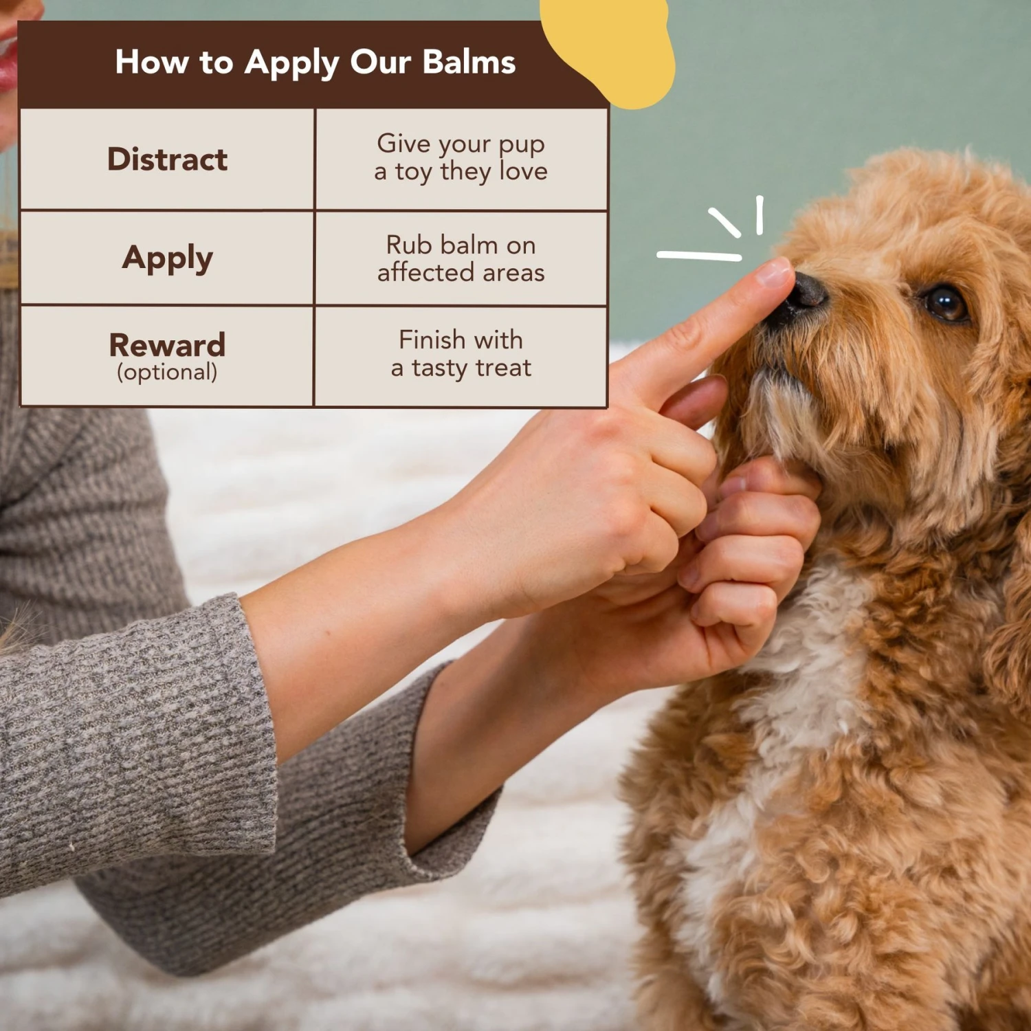 Natural Dog Company Snout Soother Dog Healing Balm 4 Natural Dog Company Snout Soother Dog Healing Balm - Image 4