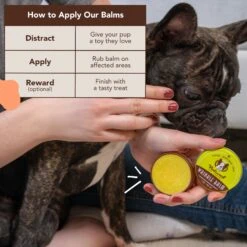 Natural Dog Company Dog Wrinkle Balm 12 Natural Dog Company Dog Wrinkle Balm -Pet Wellness 346272 PT3. AC SS1800 V1701882747