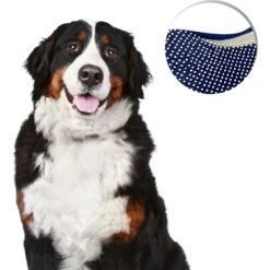 Four Paws Magic Coat Professional Series Comfort Tips Deluxe Dog Grooming Glove 17 Four Paws Magic Coat Professional Series Comfort Tips Deluxe Dog Grooming Glove -Pet Wellness 346884 PT8. AC SS1800 V1692734466