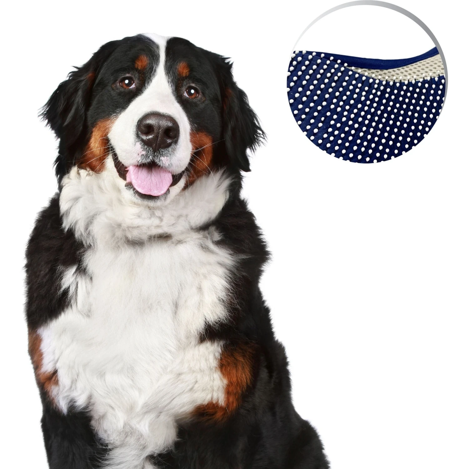 Four Paws Magic Coat Professional Series Comfort Tips Deluxe Dog Grooming Glove 9 Four Paws Magic Coat Professional Series Comfort Tips Deluxe Dog Grooming Glove - Image 9