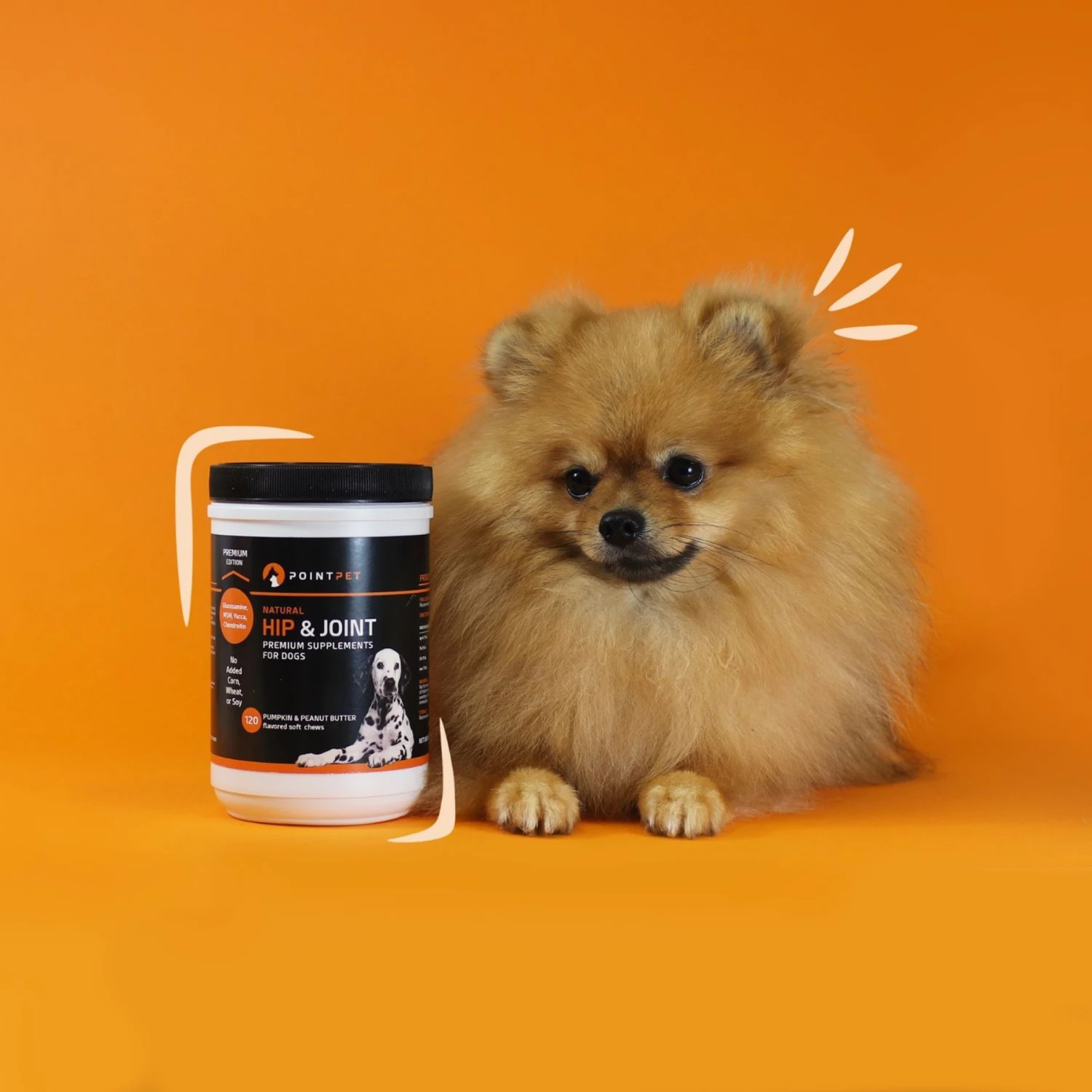 PointPet Glucosamine Peanut Butter & Pumpkin Flavored Hip & Joint Support Soft Chews Dog Supplement, 120 Count 2 PointPet Glucosamine Peanut Butter & Pumpkin Flavored Hip & Joint Support Soft Chews Dog Supplement, 120 Count - Image 2