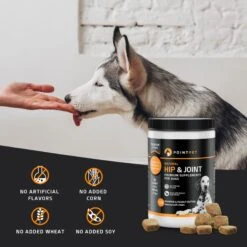 PointPet Glucosamine Peanut Butter & Pumpkin Flavored Hip & Joint Support Soft Chews Dog Supplement, 120 Count 10 PointPet Glucosamine Peanut Butter & Pumpkin Flavored Hip & Joint Support Soft Chews Dog Supplement, 120 Count -Pet Wellness 347410 PT2. AC SS1800 V1669391002