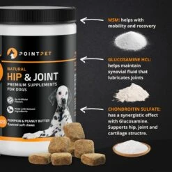 PointPet Glucosamine Peanut Butter & Pumpkin Flavored Hip & Joint Support Soft Chews Dog Supplement, 120 Count 13 PointPet Glucosamine Peanut Butter & Pumpkin Flavored Hip & Joint Support Soft Chews Dog Supplement, 120 Count -Pet Wellness 347410 PT5. AC SS1800 V1669394008