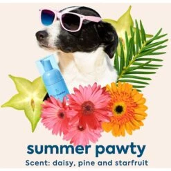 Dr. Cuddles Everyday Foaming Dog & Cat Dry Shampoo 10 Dr. Cuddles Everyday Foaming Dog & Cat Dry Shampoo -Pet Wellness 347433 PT4. AC SS1800 V1652303206