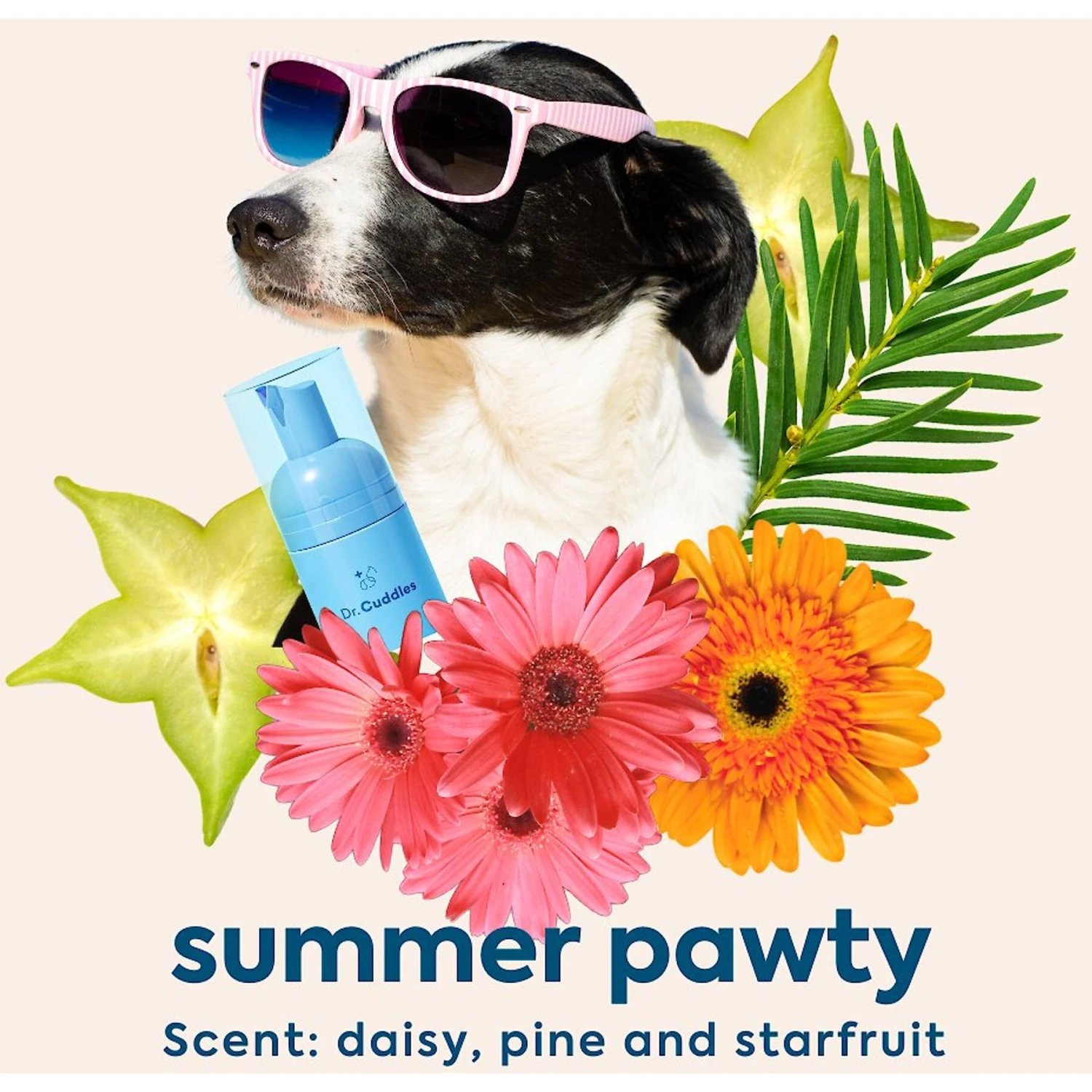 Dr. Cuddles Everyday Foaming Dog & Cat Dry Shampoo 5 Dr. Cuddles Everyday Foaming Dog & Cat Dry Shampoo - Image 5