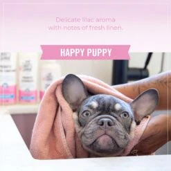 Skout's Honor Happy Puppy Probiotic Daily Use Cat & Dog Deodorizing Spray, 8-oz Bottle -Pet Wellness 347807 PT5. AC SS1800 V1659027520