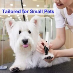 PATPET N8 Quiet & Mini Small Pet Nail Grinder -Pet Wellness 348156 PT2. AC SS1800 V1660515169