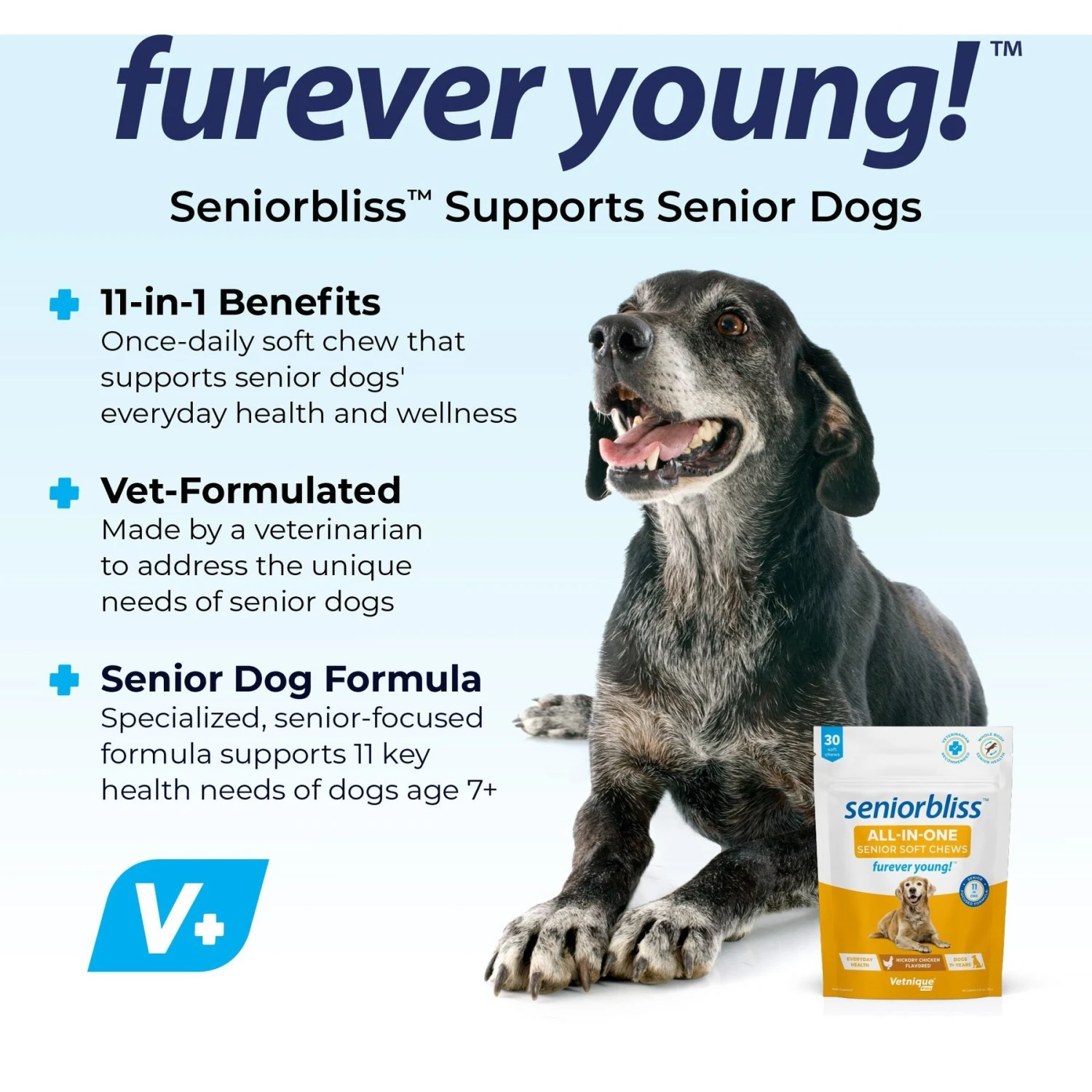 Vetnique Labs Seniorbliss Daily All-In-One Glucosamine & Probiotic Senior Hickory Chicken Soft Chews Senior Dog Supplement 3 Vetnique Labs Seniorbliss Daily All-In-One Glucosamine & Probiotic Senior Hickory Chicken Soft Chews Senior Dog Supplement - Image 3