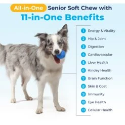Vetnique Labs Seniorbliss Daily All-In-One Glucosamine & Probiotic Senior Hickory Chicken Soft Chews Senior Dog Supplement 14 Vetnique Labs Seniorbliss Daily All-In-One Glucosamine & Probiotic Senior Hickory Chicken Soft Chews Senior Dog Supplement -Pet Wellness 349074 PT5. AC SS1800 V1703276440