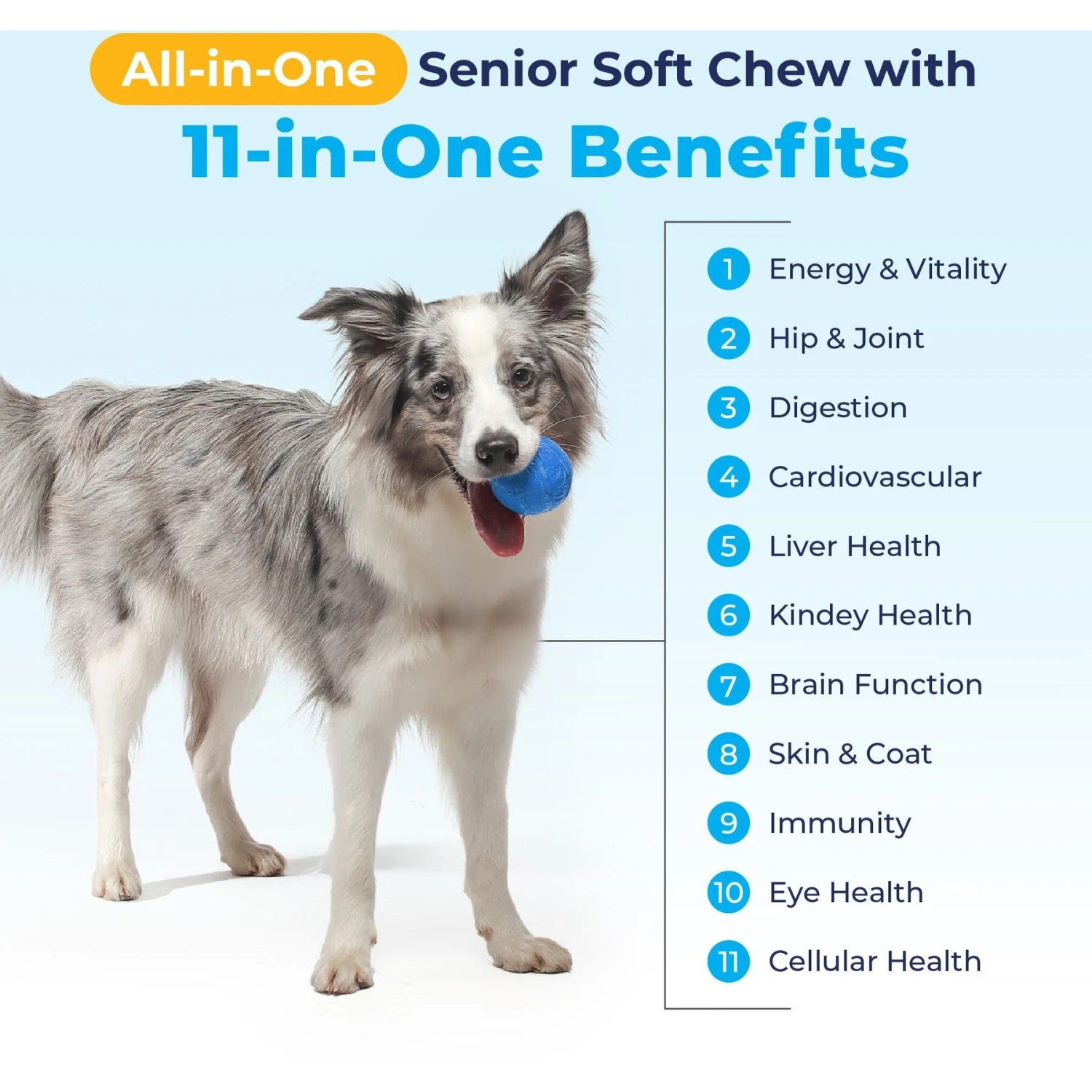 Vetnique Labs Seniorbliss Daily All-In-One Glucosamine & Probiotic Senior Hickory Chicken Soft Chews Senior Dog Supplement 6 Vetnique Labs Seniorbliss Daily All-In-One Glucosamine & Probiotic Senior Hickory Chicken Soft Chews Senior Dog Supplement - Image 6