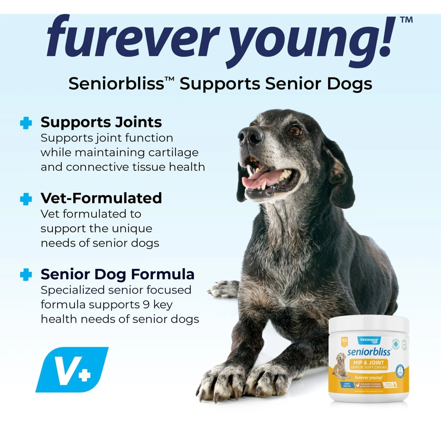 Vetnique Labs Seniorbliss Hip & Joint Mobility Glucosamine Chicken Bacon Flavored Joint Supplement For Senior Dogs 3 Vetnique Labs Seniorbliss Hip & Joint Mobility Glucosamine Chicken Bacon Flavored Joint Supplement For Senior Dogs - Image 3