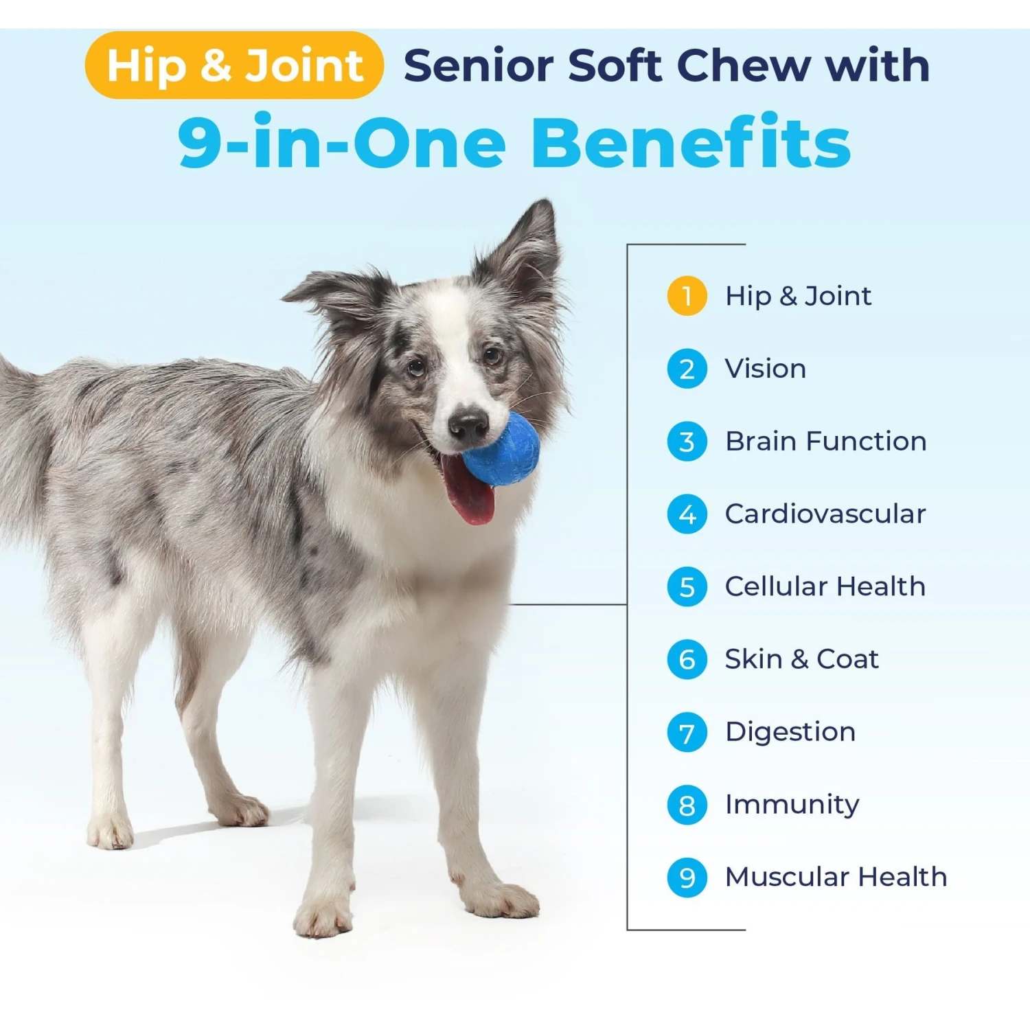 Vetnique Labs Seniorbliss Hip & Joint Mobility Glucosamine Chicken Bacon Flavored Joint Supplement For Senior Dogs 6 Vetnique Labs Seniorbliss Hip & Joint Mobility Glucosamine Chicken Bacon Flavored Joint Supplement For Senior Dogs - Image 6