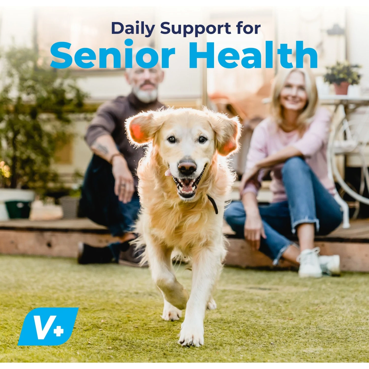 Vetnique Labs Seniorbliss Hip & Joint Mobility Glucosamine Chicken Bacon Flavored Joint Supplement For Senior Dogs 7 Vetnique Labs Seniorbliss Hip & Joint Mobility Glucosamine Chicken Bacon Flavored Joint Supplement For Senior Dogs - Image 7