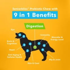 Vetnique Labs Seniorbliss Dog Probiotic Supplement Hickory Chicken & Bacon Soft Chews Digestive Supplement For Senior Dogs -Pet Wellness 349082 PT2. AC SS1800 V1644918737