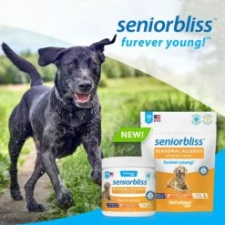 Vetnique Labs Seniorbliss Seasonal Allergy & Itch Salmon Flavored Fish Oil Soft Chews Allergy Supplement For Senior Dogs 14 Vetnique Labs Seniorbliss Seasonal Allergy & Itch Salmon Flavored Fish Oil Soft Chews Allergy Supplement For Senior Dogs -Pet Wellness 349085 PT6. AC SS1800 V1644905502