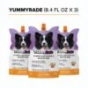 Tonisity YummyRade Low-Calorie Chicken Flavored Gravy Topper Digestive Supplement For Dogs & Cats, 250-mL Pouch, Pack Of 3