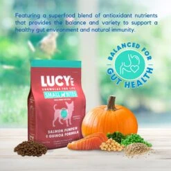 Lucy Pet Products Salmon, Pumpkin & Quinoa Small Bites Dog Food, 4.5-lbs Bag -Pet Wellness 353155 PT2. AC SS1800 V1641586644