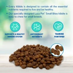 Lucy Pet Products Salmon, Pumpkin & Quinoa Small Bites Dog Food, 4.5-lbs Bag -Pet Wellness 353155 PT3. AC SS1800 V1641587561