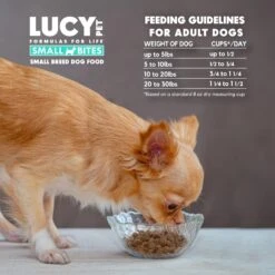 Lucy Pet Products Salmon, Pumpkin & Quinoa Small Bites Dog Food, 4.5-lbs Bag -Pet Wellness 353155 PT5. AC SS1800 V1641587242