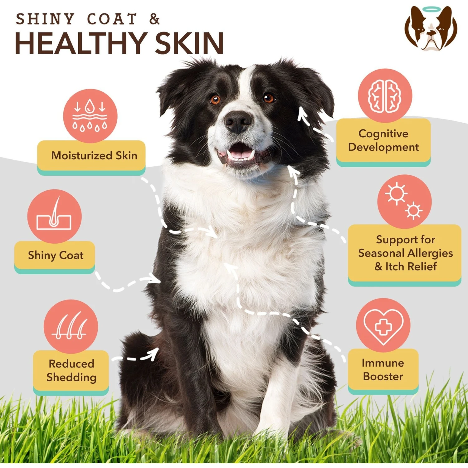 Natural Dog Company Skin & Coat Dog Supplement 4 Natural Dog Company Skin & Coat Dog Supplement - Image 4