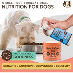 Natural Dog Company Skin & Coat Dog Supplement 14 Natural Dog Company Skin & Coat Dog Supplement -Pet Wellness 354345 PT5. AC SS1800 V1701882930